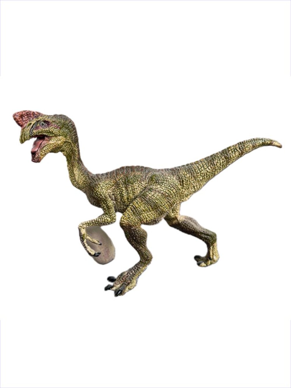 Papo Oviraptor Dinosaur (55018) Animal Figurine New w/Tag Age 3+